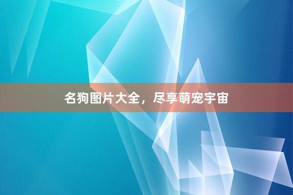 名狗图片大全，尽享萌宠宇宙