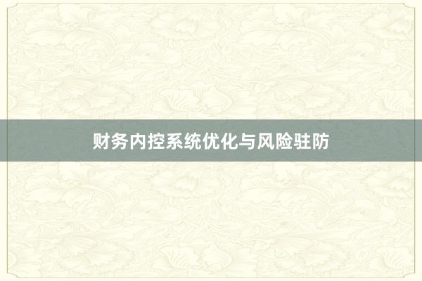 财务内控系统优化与风险驻防